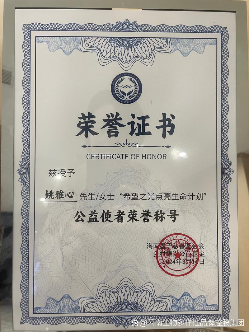 十方全球价值精选基金有何独特优势？-第3张图片-华宇铭诚