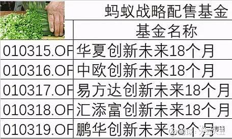 蚂蚁战略配售基金代码有哪些？-第3张图片-华宇铭诚