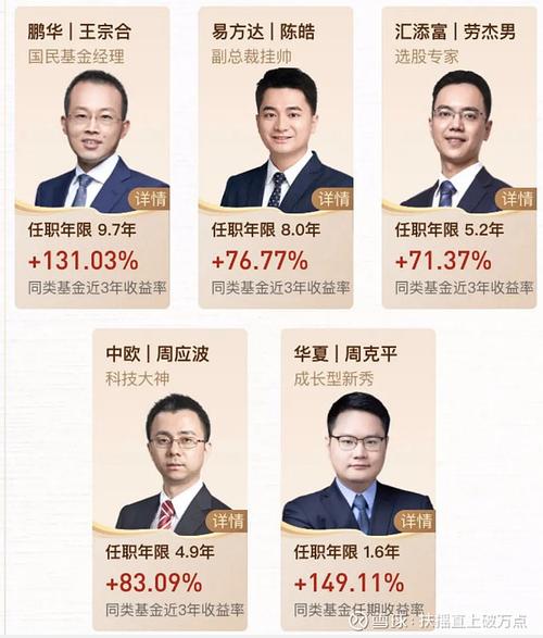 蚂蚁金服战略配置基金有何投资玄机？-第2张图片-华宇铭诚