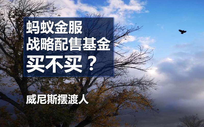 蚂蚁战配基金为何设募集上限？-第3张图片-华宇铭诚
