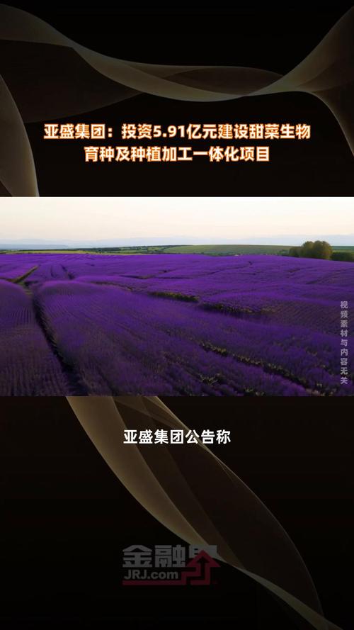 甜菜金融投资稳不稳？-第1张图片-华宇铭诚