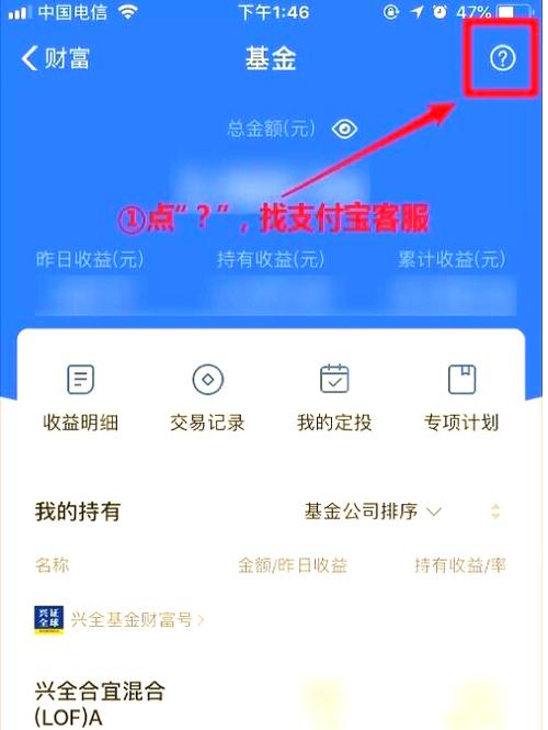 蚂蚁配售基金认购金额-第1张图片-华宇铭诚