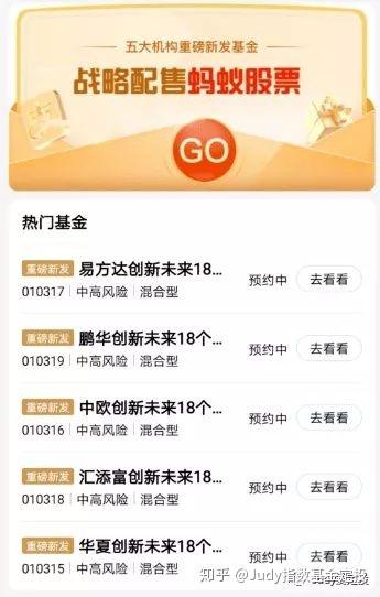 蚂蚁战略配售基金怎么选？-第3张图片-华宇铭诚