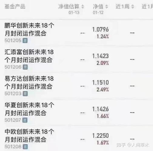 蚂蚁战略配售基金值不值得买？-第1张图片-华宇铭诚