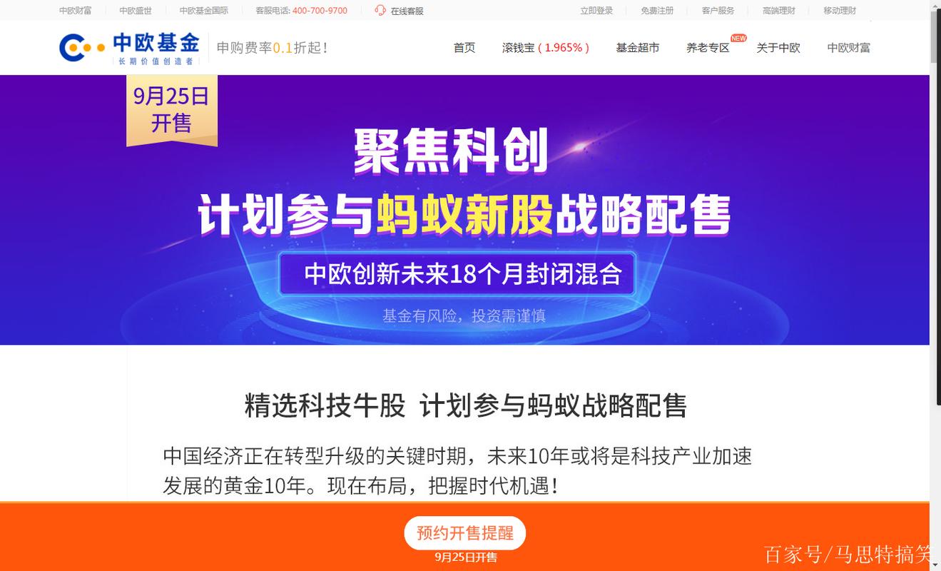 蚂蚁股票战略配售基金-第3张图片-华宇铭诚
