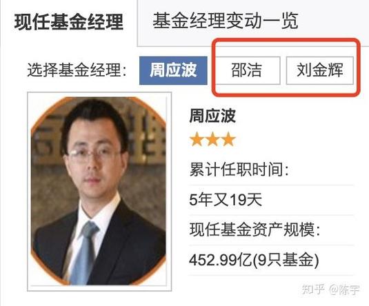 配售蚂蚁股票的基金经理表现如何？-第1张图片-华宇铭诚