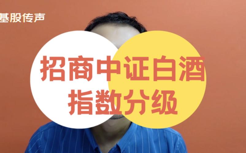 招商中正白酒分级基金有何投资优势？-第3张图片-华宇铭诚