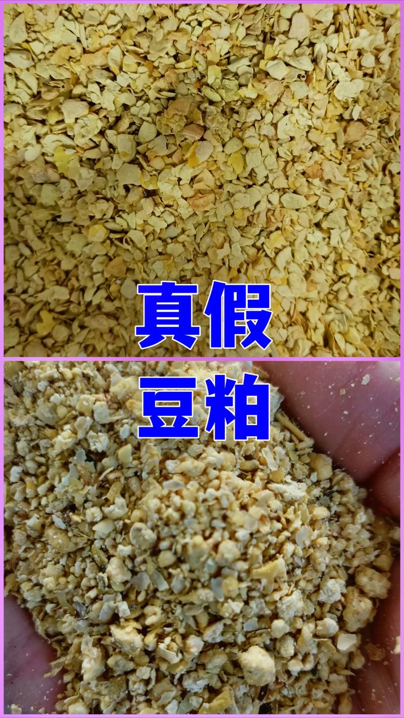 豆粕期货新手怎么入门？-第1张图片-华宇铭诚
