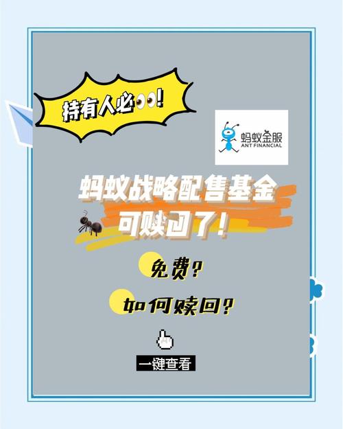 蚂蚁配售基金怎么买？-第1张图片-华宇铭诚