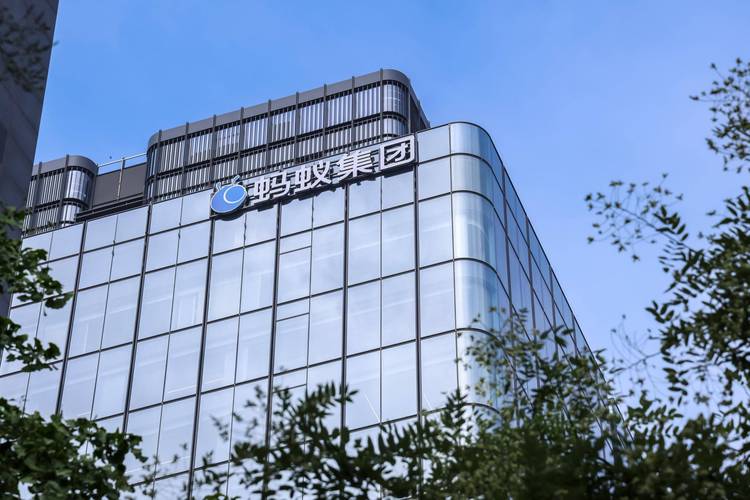 蚂蚁新股创新未来基金收益如何？-第3张图片-华宇铭诚