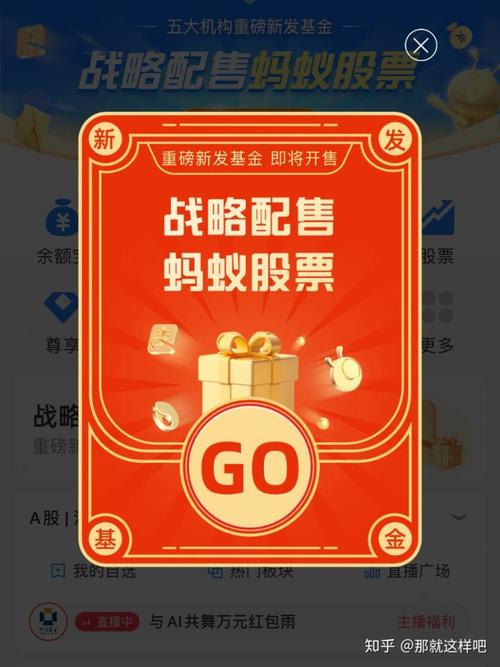 蚂蚁战略配售基金怎么查？-第1张图片-华宇铭诚