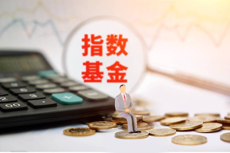 指数化证券投资基金如何实现高效投资？-第1张图片-华宇铭诚