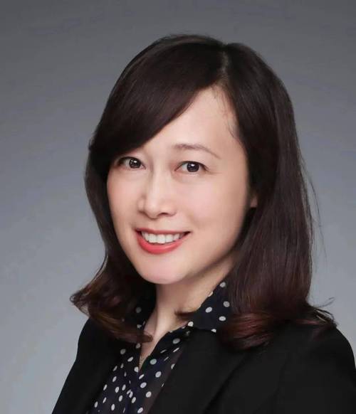 中东欧基金总裁陈爱平-第1张图片-华宇铭诚 中东欧基金总裁陈爱平-第1张图片-华宇铭诚