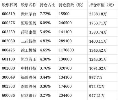 大摩卓越成长混合基金-第1张图片-华宇铭诚