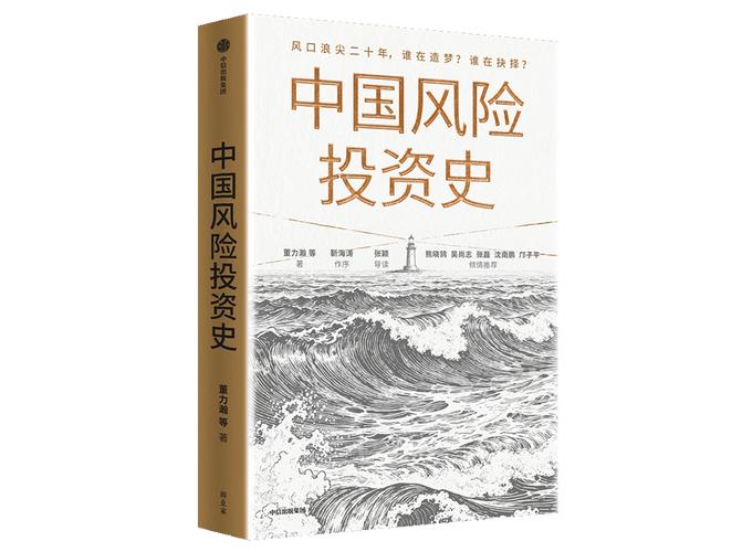中国风险投资有哪些机构与特点？-第2张图片-华宇铭诚