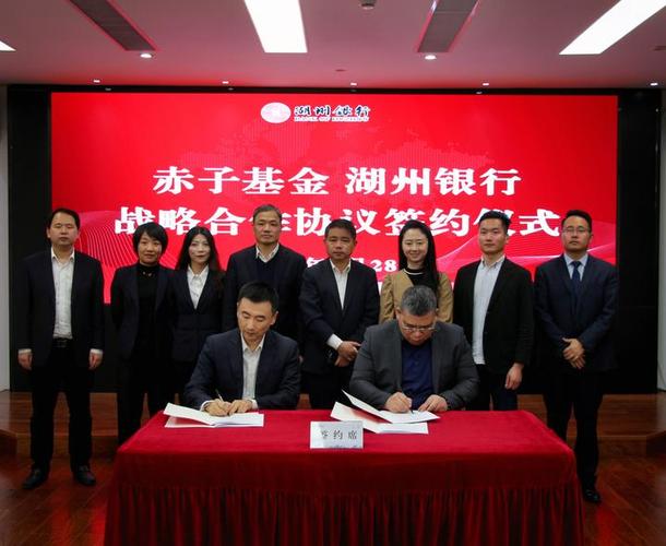 投资公司与银行合作有何优势与风险？-第2张图片-华宇铭诚