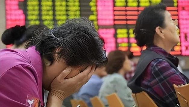 2012年某投资者经历了什么？-第3张图片-华宇铭诚